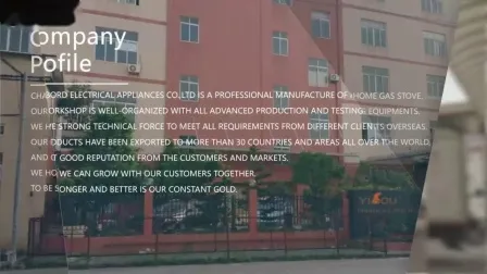 Fornello a gas da tavolo a 4 fuochi Good Fire Blue Flame di alta qualità (YG